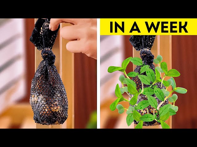 🧑‍🌾🌱 Garden Hacks 101! Simple Tips to Unlock your Inner Gardener