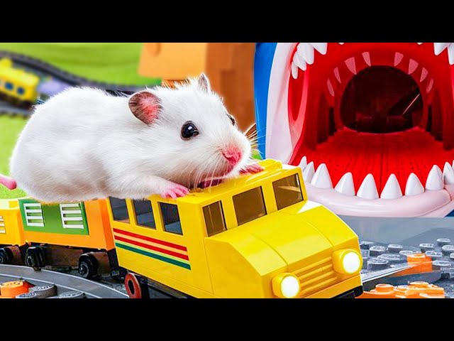 😱 Hamster Escape Maze - Hamster Cute pets Maze #hamsterescape #mazediytraps #574