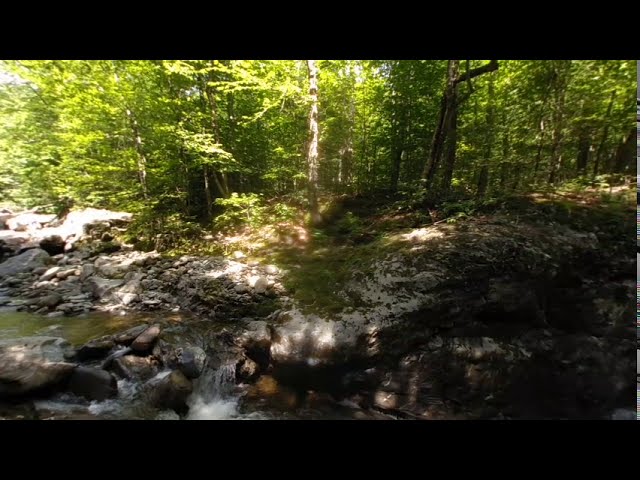 A Virtual Swimming Hole! 3D VR Experience