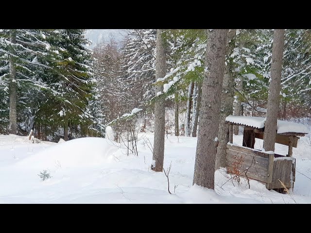 Schneeschuhtour Auf die Goss