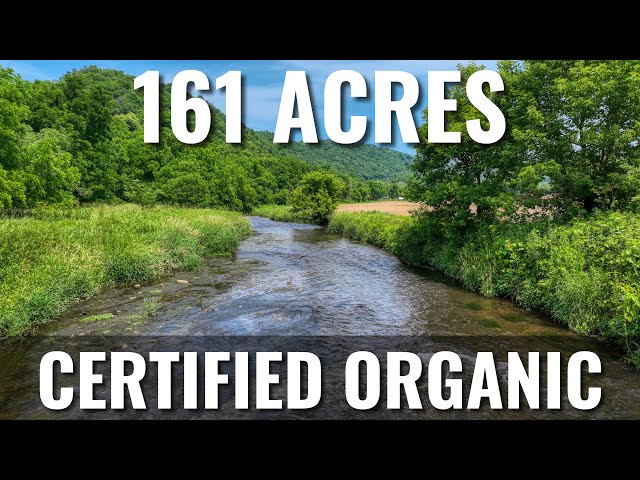 Touring the MOST BEAUTIFUL LAND in the United States! LAND FOR SALE | Driftless Region Wisconsin