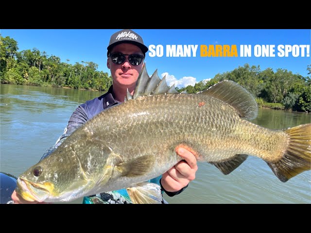 Wet tropics Barramundi fishing (new pb's for the river)