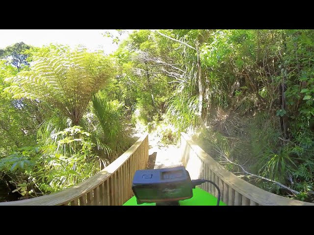 Amazing New Zealand native forest walk in Karekare ranges and Kitekite Falls with an awesome music!