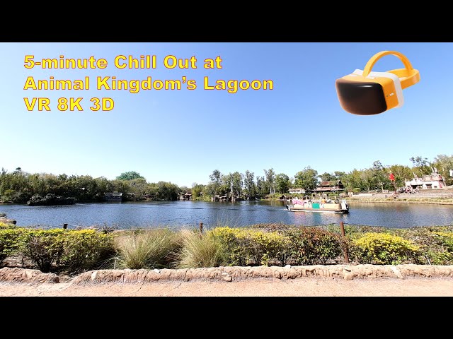 Disney in VR : 5-min relax at Animal Kingdom's Discovery Lagoon