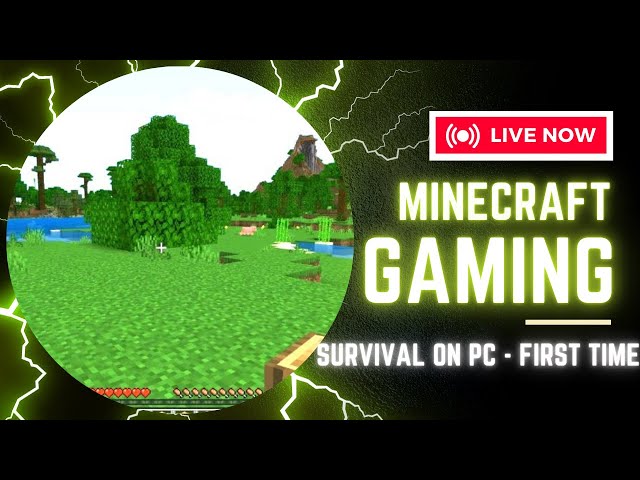 Trying Minecraft on PC! 🖥️ First Night Survival & Mobs Everywhere!