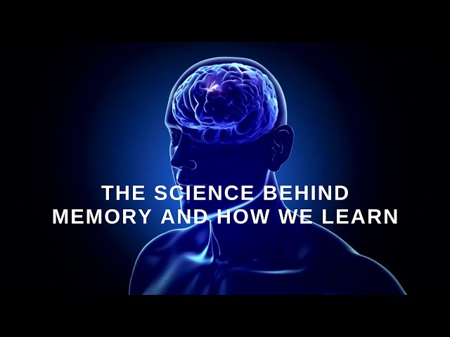 The Science Behind Memory and How We Learn