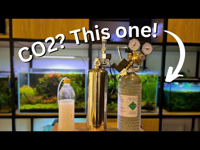 Best CO2 system for your aquarium? Ultimate beginner guide for CO2 setup!