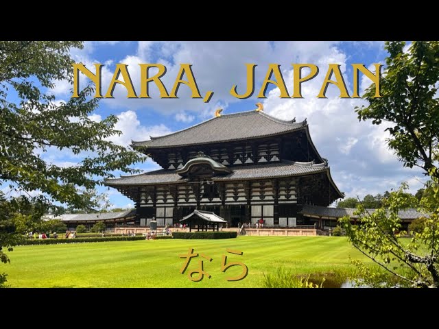 nara, japan 🇯🇵 deer,  tōdai-ji, great buddha, rilakkuma | Japan Vlog