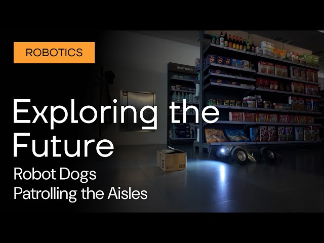 Exploring the Future: Robot Dogs Patrolling the Aisles