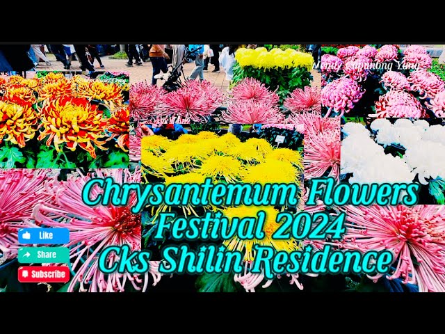 2024 CHRYSANTHEMUM FLOWERS FESTIVAL CKS SHILIN RESIDENCE TAIPEI TAIWAN