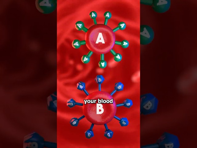 Why Are There So Many Blood Types? 🩸