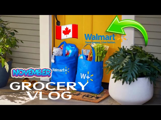 Grocery Shopping From Walmart | Online Grocery experience 2024