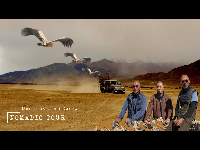 NOMADIC TOUR || Demchok lhari karpo || Dungti