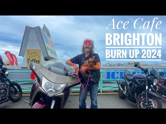 A Motorcycle & Dog ride to Ace Cafe Brighton Burn Up