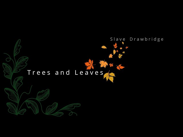 Trees and Leaves part One 2000 | Piano Solo | Classical Music Relaxing composed by Slave Drawbridge