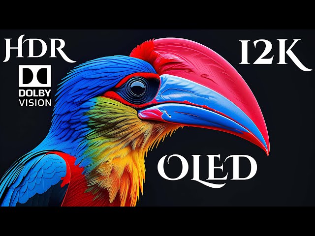 12K Video ULTRA HD 240 FPS OLED DEMO * Wild Planet * #12K #ANIMAL