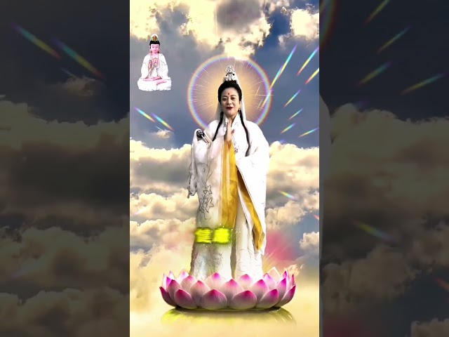 #觀世音菩薩🙏有緣人🙏願你全家從今以後百病不侵，無災無難，時來運轉，健康平安，鴻運當頭，財源廣進，一帆風順🙏#南海觀音🙏#觀音菩薩🙏#阿彌陀佛🙏#有求必應 #所求皆如願🙏 #祝福 #正能量