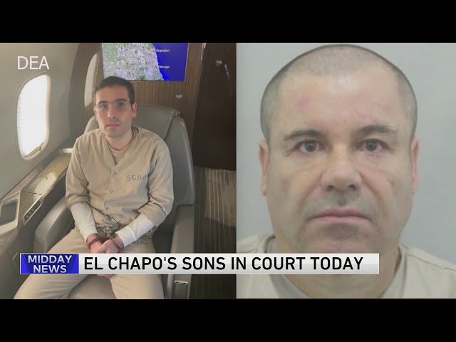 Sons of Mexican cartel leader 'El Chapo' are in plea negotiations with US, attorneys say