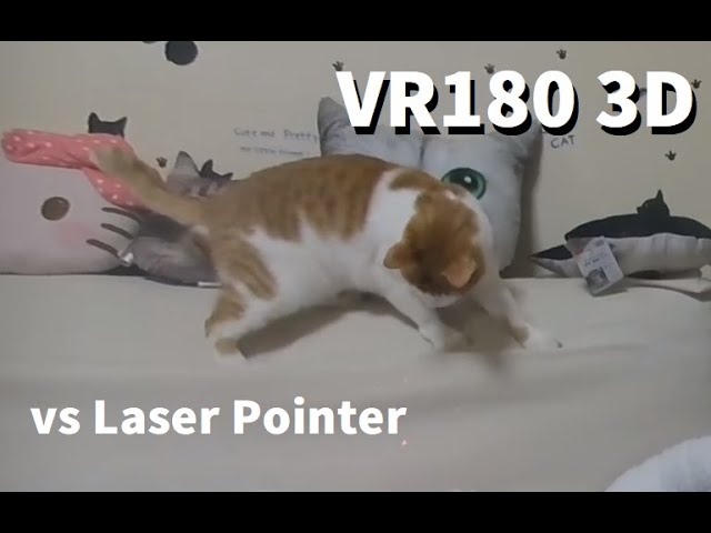 Cats vs Laser Pointer [VR180 3D]