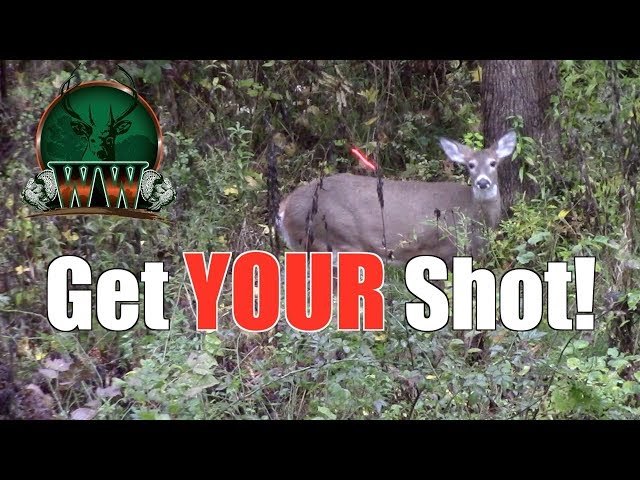 BEST Way to Funnel Deer | Bow Hunting