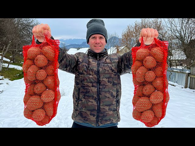 Traditional Ukrainian potato dish! Cooking delicious lunch in the mountains!