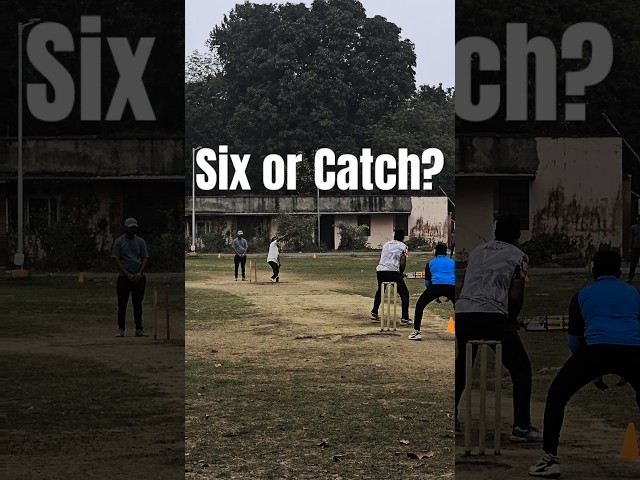 Six or Catch #cricket #viralvideo #trendingshorts #tennisball