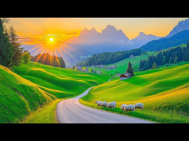 Beautiful Relaxing Music to Reduce Stress - Meditation Music, Sleep Music, Healing Music #13