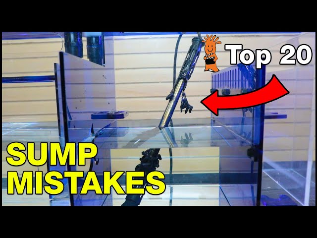 Top Aquarium Sump Mistakes You Don't Want To Make! But Do You Even Need One?