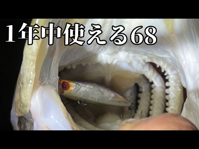 釣れるルアーの小さいやつ【マリブ68】