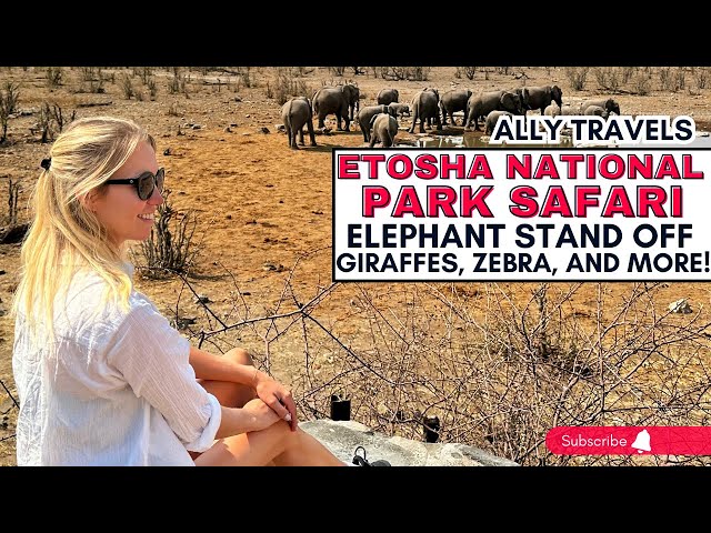 Massive Elephant Herd Takes Over Desert Watering Hole in Namibia!