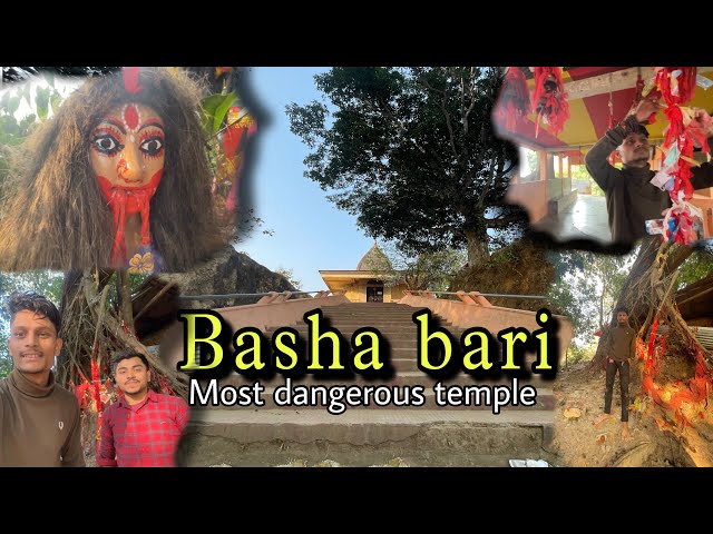 MOST DANGEROUS TEMPLE  || 100 sal purana || basha bari || katlicherra || #katlicherrabashabari