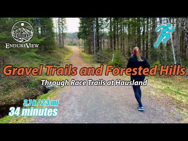 Virtual Run on Gravel Trails and Forested Hills 🌲🏃