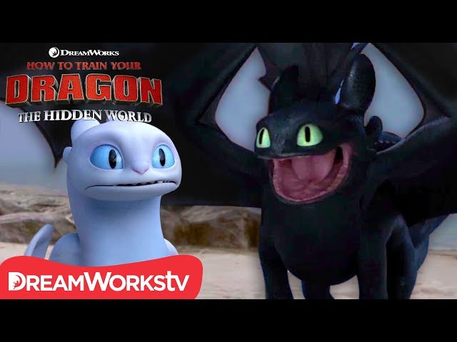 HOW TO TRAIN YOUR DRAGON: THE HIDDEN WORLD | Toothless Falls in Love