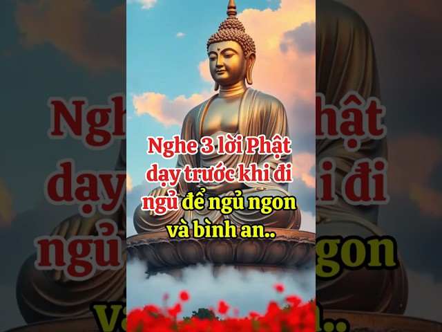 Nghe 3 Lời Phật Dạy Trước Khi Đi Ngủ Để Ngủ Ngon Và Bình An