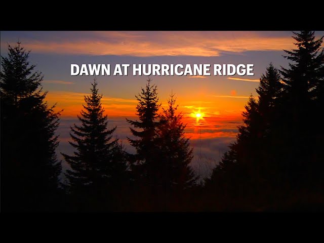 Dawn at Hurricane Ridge, Olympic National Park, Washington, 2015