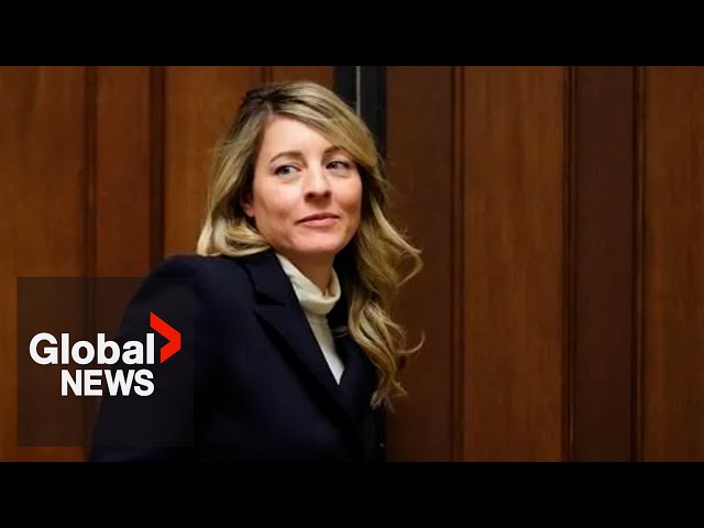 Canada’s message to US is “resonating” after meeting with Rubio, Joly says | FULL