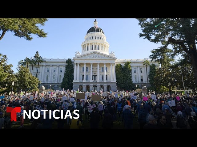 Protestan de costa a costa contra las políticas de Trump... y lo que hace Musk | Noticias Telemundo