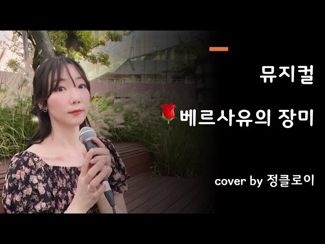 뮤지컬 베르사유의 장미- 베르사유의 장미 커버