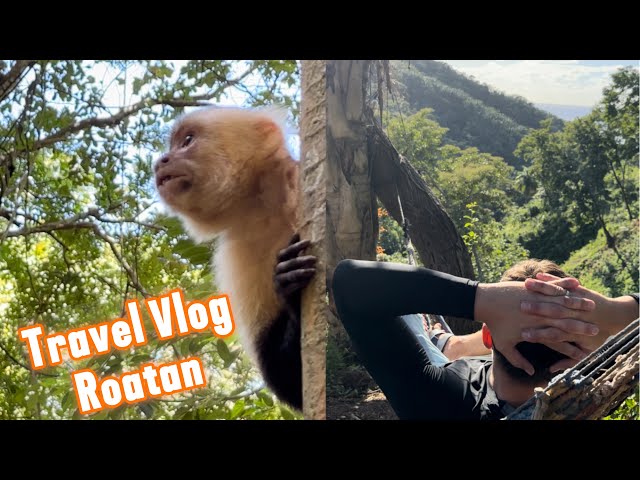 Roatan Travel Vlog (2024) - How to rent a scooter 🛵, cost overview💰, West Bay