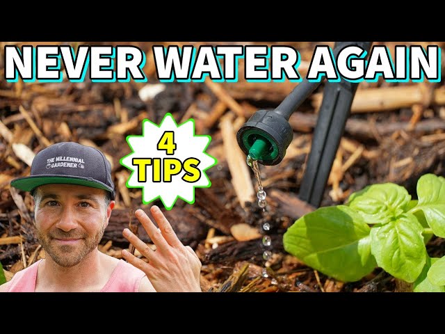 Do These Drip Irrigation Tips And NEVER Water Your Garden Again!