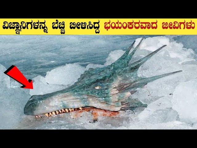 World's Most Unsolved Mystery Of Ocean | How Land Animal Evolved Oceans Animals | Think Forever