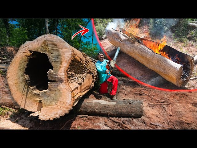 100 Yr Old Tree To Boat Build!! (Part 1 - carving and burning)