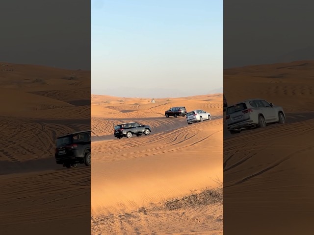 Dune Bashing Desert Safari Dubai UAE🇦🇪 for Booking :+971563712440 #dubai #desert #safari #offroad