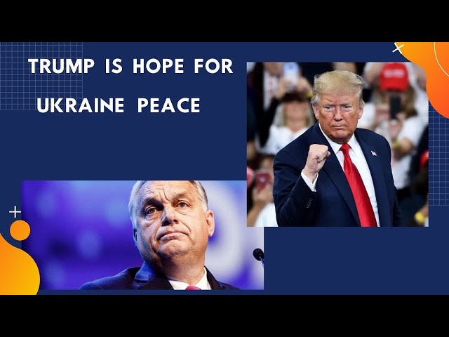 Trump is hope for Ukraine peace