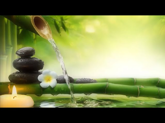 Spa Music Relaxing Music Sleep Music Meditation เพลงสปา เพลงผ่อนคลาย ไทยมาสสาจ เพลงบรรเลง Calm Music