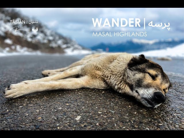 WANDER | پرسه