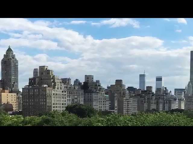 The Metropolitan Museum NYC Rooftop Gardens View