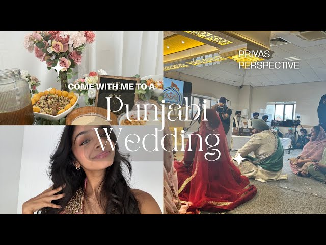 Come to a BIG PUNJABI WEDDING with me 💃🏽👰🏽‍♀️