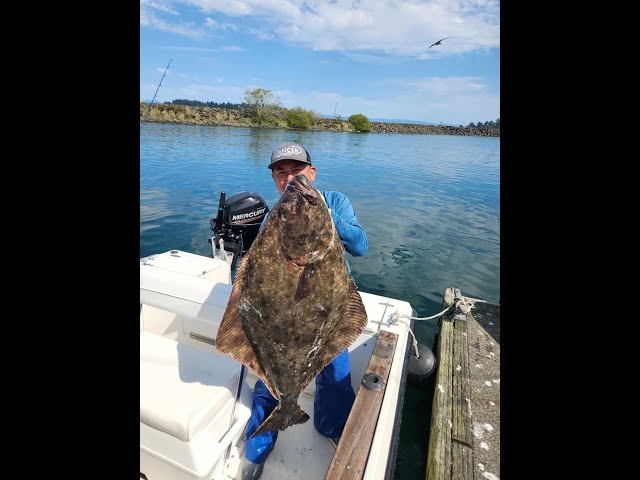 Neah Bay Fishing - Big Halibut!