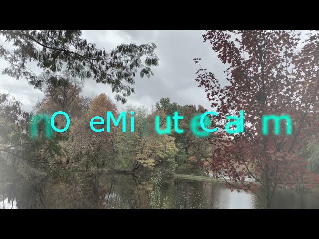 One Minute Calm | Calming Scenery 14 | Mindful 1 Minute Meditation